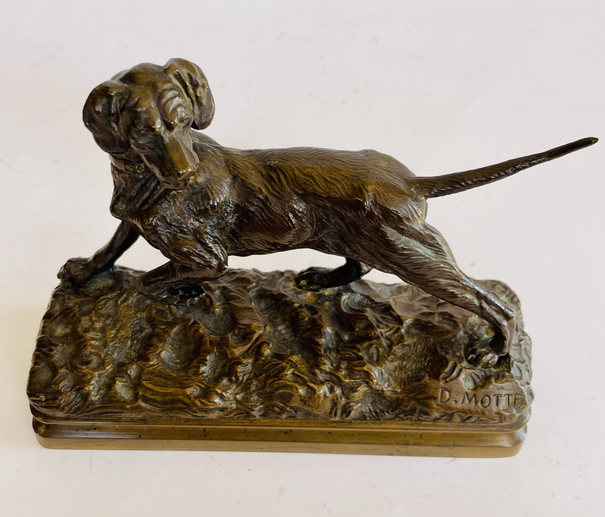 Hunting Dog On Point D.motte -photo-8